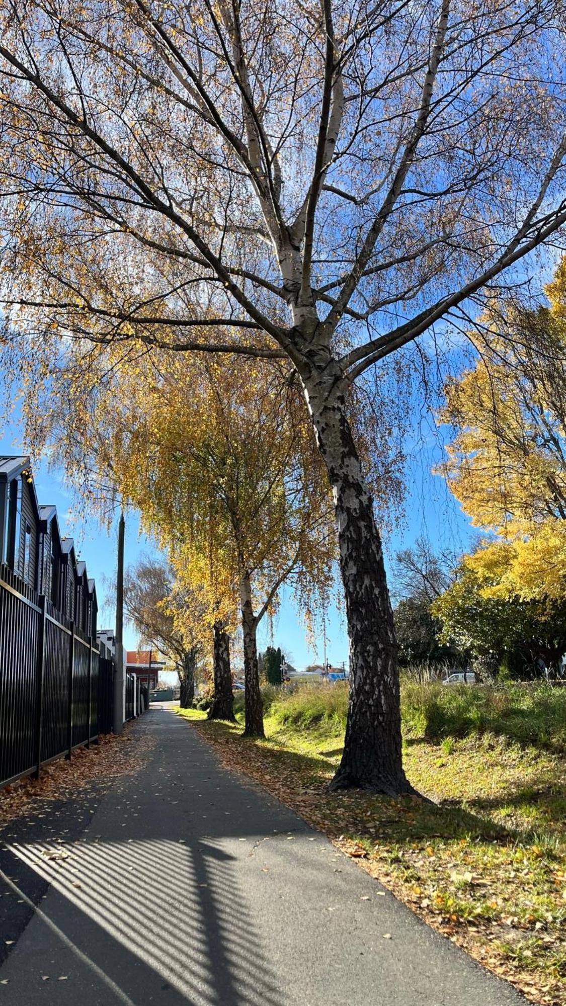 Luxury 2 Bedroom By St Park Christchurch